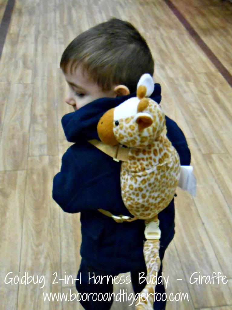 A little boy that is holding a stuffed animal